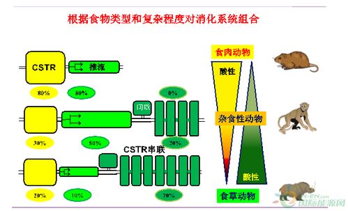 王凱軍 沼氣新技術發(fā)展及產品高值化利用
