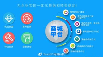 既b2c又b2b2c的移動(dòng)電商模式,你了解多少