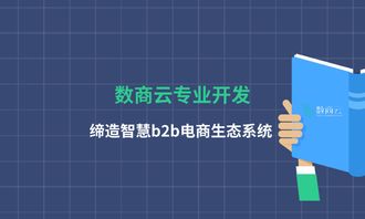 數商云專業(yè)開發(fā),締造智慧b2b電商生態(tài)系統(tǒng)