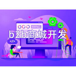 安徽b2b商城系統開發技術